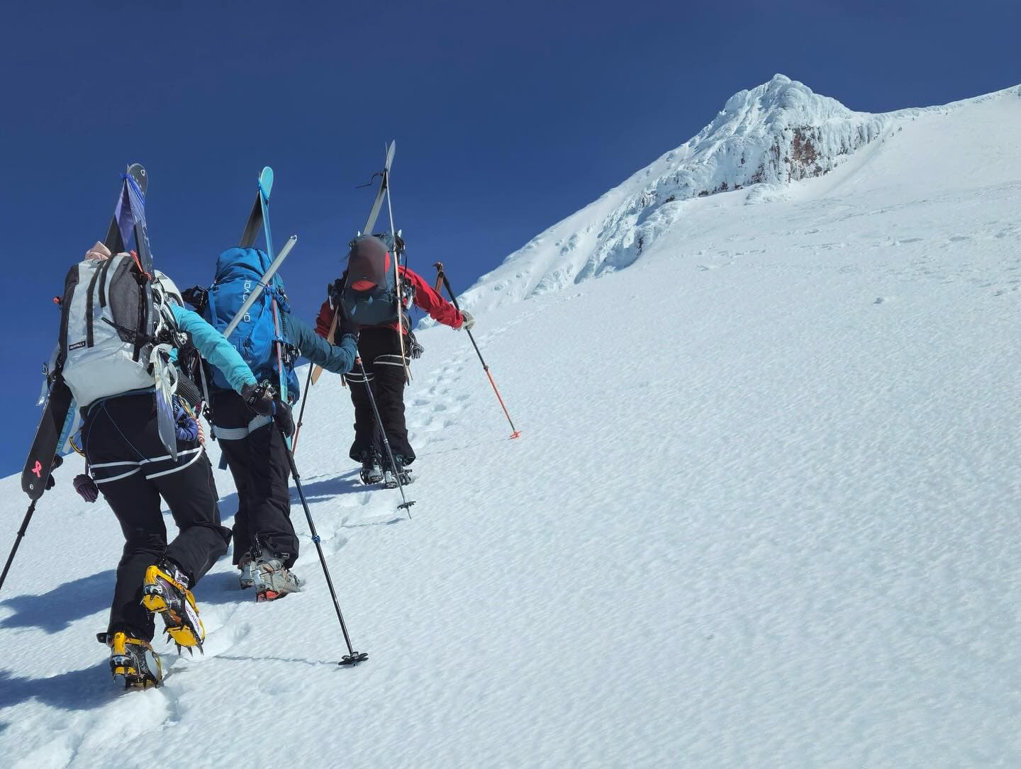 BC Adventure Guides AK-Alaska Range Ski Mo Camp